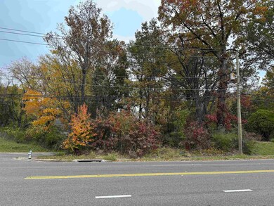 2308 Ketchum Rd, Memphis, TN 38114 - photo 6