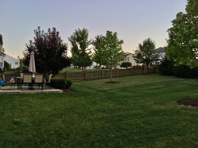 Fenced Backyard