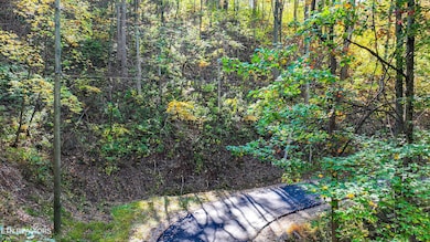 DJI_20241029124212_0088_D