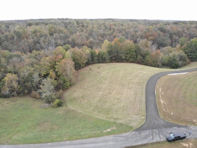 0 Quail Run unit RTC3043048, Byrdstown, TN 38549 - photo 4