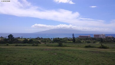 404 Anapuni Loop unit Lanikeha Lot 43 Ph 2, Lahaina, HI 96761 - photo 6