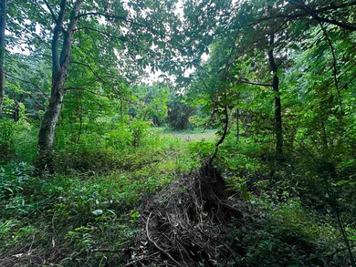 Tract #5 Holt Rd, Louisa, KY 41230 - photo 4