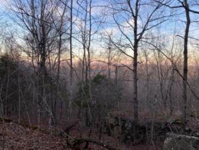 20250424105630126205000000-1