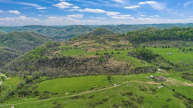 Tbd Farming Acres, Duffield, VA 24244 - photo 3