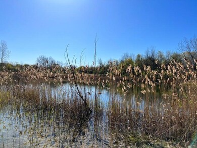 8249 Parcel A M-139, Berrien Springs, MI 49103 - photo 7