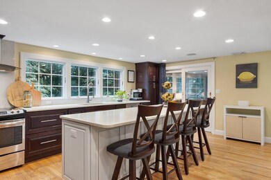 4 Joseph Reed Ln, Acton, MA 01720 - photo 5