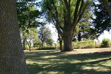Yard/Garden.