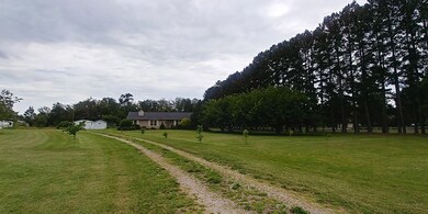 View from front