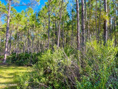 0 Carter Trail unit 1220141, Ormond Beach, FL 32174 - photo 4