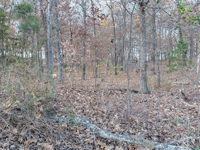 County Road 9100, West Plains, MO 65775 - photo 5