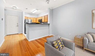 The Savoy unit 232, Reston, VA 20190 - photo 4