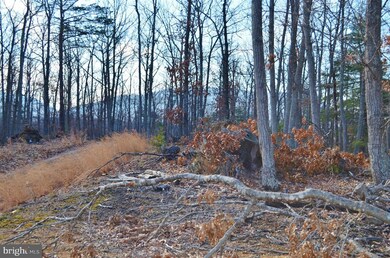 LOT 30 Comforter Ln, North River, VA 22645 - photo 3