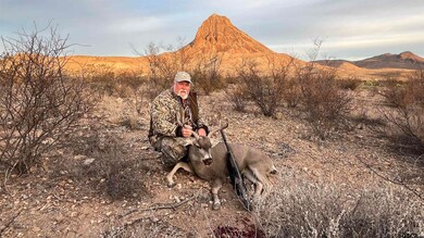 27236 Huff Rd Off Lake Ament-Christmas Wells Tank, Terlingua, TX 79852 - photo 2