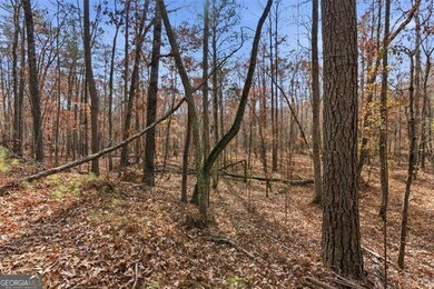 0 Flowery Branch Rd unit 10651048, Kingston, GA 30145 - photo 7