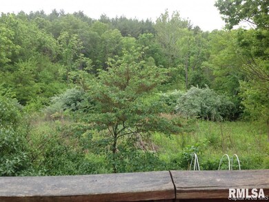 2077 Heitz Rd, Jacksonville, IL 62650 - photo 3