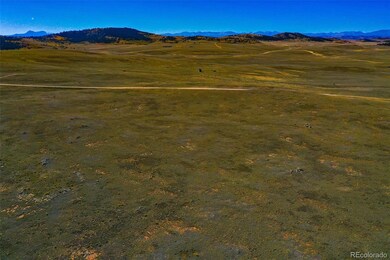 0 Raven Ln unit REC8453904, Hartsel, CO 80449 - photo 5