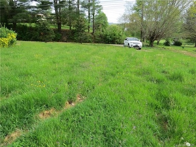 104 Old Dairy Ln, Burnsville, NC 28714 - photo 7