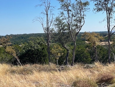 Tract 12 Rare Eagle Dr unit 12, Fredericksburg, TX 78624 - photo 3