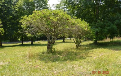 Additional View