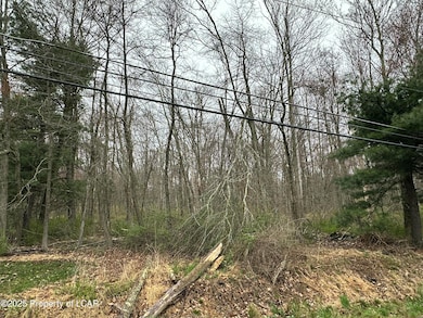 0 Pond Hill Mountain Rd unit 25-171, Wapwallopen, PA 18660 - photo 2