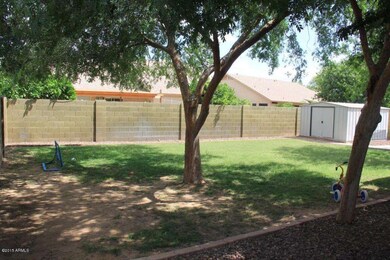 710 E Colt Back Yard (3)