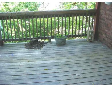 209 Hamilton St, Cambridge, MA 02139 - photo 4