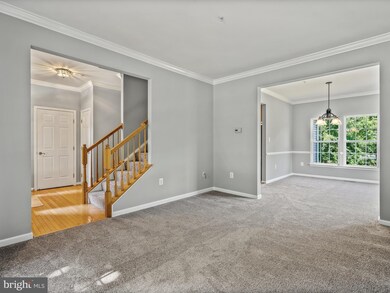 12110 Benjamin St, Beltsville, MD 20705 - photo 5