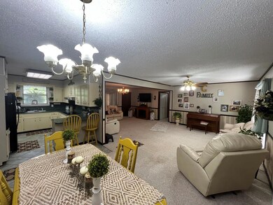 Open kitchen/dining/living space