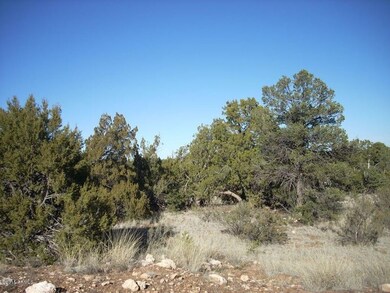 DSCN8323.jpg