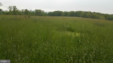 unlisted-address, Edinburg, VA 22824 - photo 7