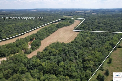 451 Tavern Creek Rd, Iberia, MO 65486 - photo 2