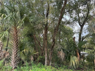 Another picture in front of the lot.