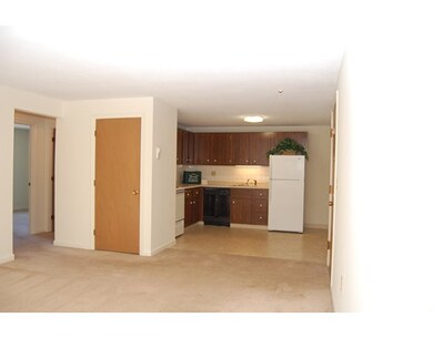 17 E Meadow Rd unit Varies, Lowell, MA 01854 - photo 5