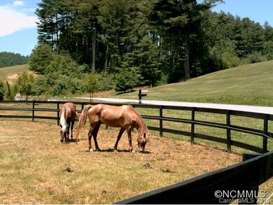 Pretty horses at assoc entra