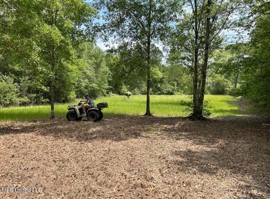 Field