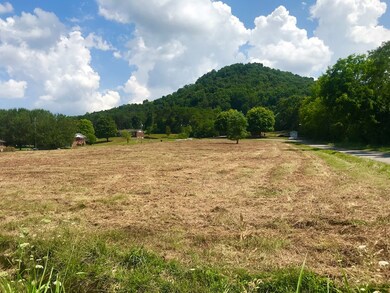 Lot 1 Covington Dr, Morristown, TN 37814 - photo 6