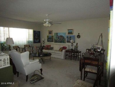 LARGE LIVING ROOM
