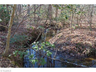 0 Pisgah Covered Bridge Rd unit 601041, Asheboro, NC 27205 - photo 3