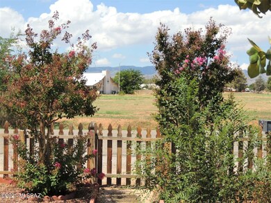 Looking out front gate
