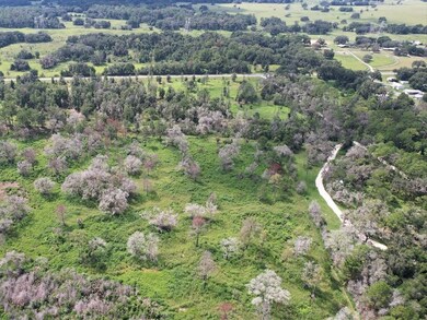 7103 N Lecanto Hwy, Citrus Hills, FL 34442 - photo 5