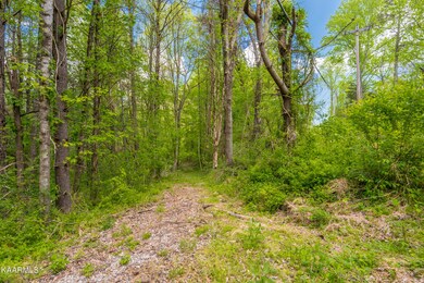 0000 W Gallaher Ferry Rd, Knoxville, TN 37932 - photo 5