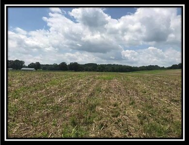 10364 Rankin Rd, Glenford, OH 43739 - photo 3