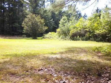 Yard/Garden.