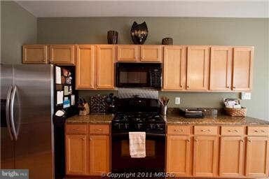 13410 Burrough Farm Dr, Herndon, VA 20171 - photo 6