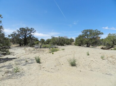 6601 Big Cedar Ave, Farmington, NM 87402 - photo 3