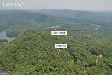 31 Yonah Lake Rd, Toccoa, GA 30577 - photo 5