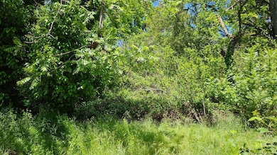 0 Lincoln Aly, Placerville, CA 95667 - photo 3