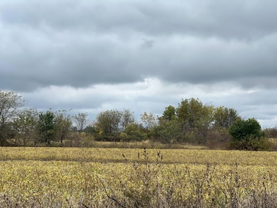 5153 NE 1004 Rd, Butler, MO 64730 - photo 4