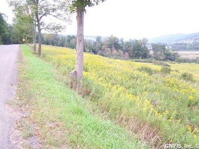 Land. View from the road looking to the Left.