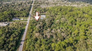 0 32nd Ave SE unit 225082220, Naples, FL 34117 - photo 2